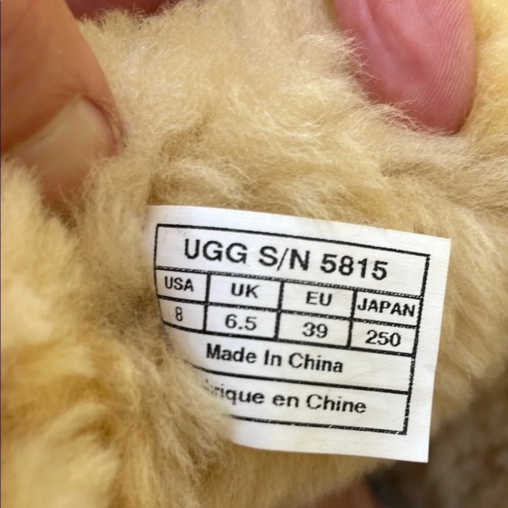 UGG Light Brown Winter Boots Plush Suede